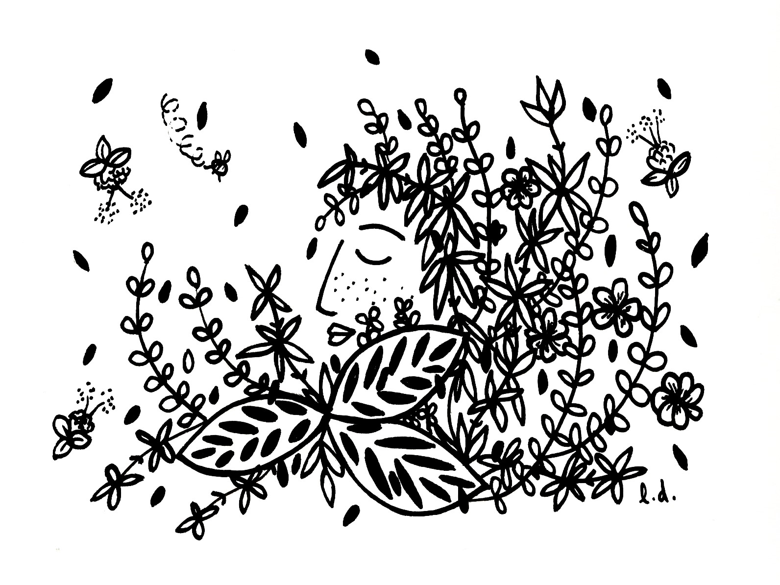 La série des visages plantes